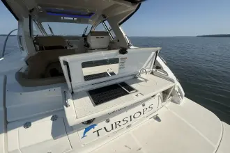 Thumbnail von Sea Ray 350 Sundancer Coupe