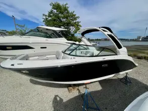 Thumbnail von Sea Ray SDX 230 Outboard