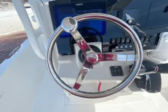 Thumbnail von Boston Whaler 220 Dauntless