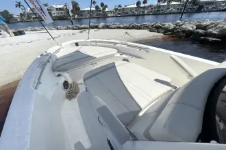 Thumbnail von Boston Whaler 220 Dauntless
