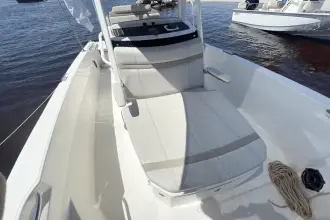 Thumbnail von Boston Whaler 220 Dauntless