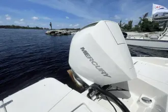 Thumbnail von Boston Whaler 220 Dauntless
