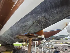 Thumbnail von Dragonfly 32 Swing Wing Supreme SV Libellula