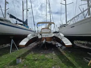 Thumbnail von Dragonfly 32 Swing Wing Supreme SV Libellula