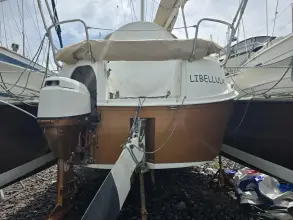 Thumbnail von Dragonfly 32 Swing Wing Supreme SV Libellula