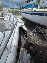 Thumbnail von Dragonfly 32 Swing Wing Supreme SV Libellula