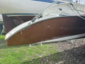 Thumbnail von Dragonfly 32 Swing Wing Supreme SV Libellula