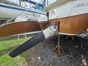 Thumbnail von Dragonfly 32 Swing Wing Supreme SV Libellula