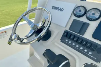Thumbnail von Boston Whaler 250 Dauntless