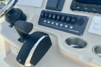 Thumbnail von Boston Whaler 250 Dauntless