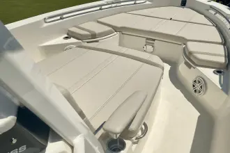 Thumbnail von Boston Whaler 250 Dauntless