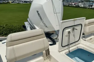 Thumbnail von Boston Whaler 250 Dauntless