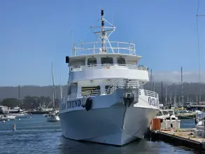 Thumbnail von Ocean Thunder 150 Passenger Ocean Thunder