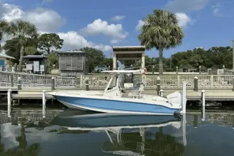 Thumbnail von Boston Whaler 220 Dauntless