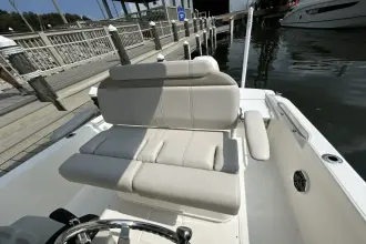 Thumbnail von Boston Whaler 220 Dauntless