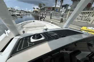 Thumbnail von Boston Whaler 220 Dauntless