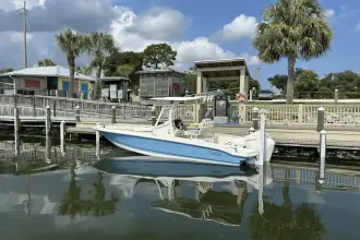 Thumbnail von Boston Whaler 220 Dauntless