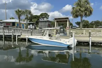 Thumbnail von Boston Whaler 220 Dauntless