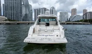 Thumbnail von Sea Ray 43 Sundancer