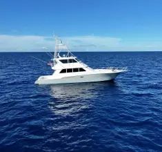 Thumbnail von Viking 72 Convertible