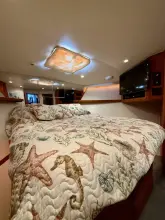 Thumbnail von Viking 72 Convertible