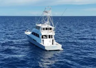 Thumbnail von Viking 72 Convertible