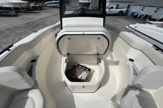 Thumbnail von Scout 240 XSF