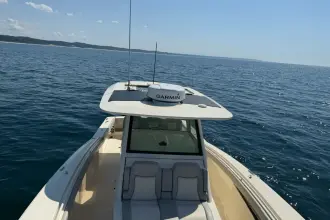 Thumbnail von Scout 355 LXF