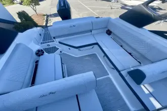 Thumbnail von Sea Ray SDX 250 buitenboordmotor