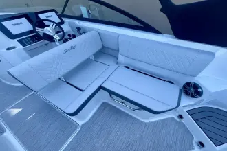 Thumbnail von Sea Ray SDX 250 buitenboordmotor