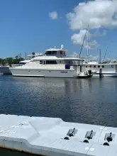 Thumbnail von Wendon 65 The Cat From the Hat