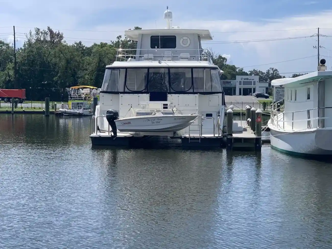 Thumbnail von Wendon 65 The Cat From the Hat