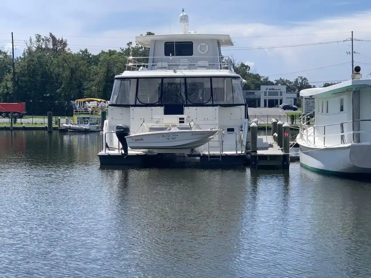 Thumbnail von Wendon 65 The Cat From the Hat