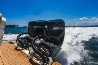 Thumbnail von Scout 305 LXF