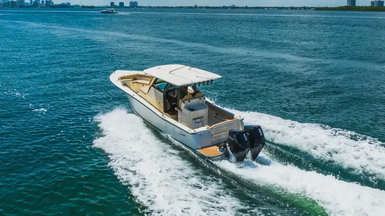 Thumbnail von Scout 305 LXF