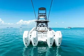 Thumbnail von Freeman 42 LR