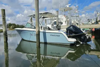Thumbnail von Sailfish 276 DC