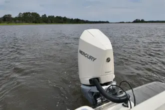 Thumbnail von Scout 240 XSF