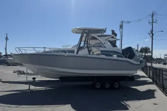 Thumbnail von Boston Whaler 250 Dauntless