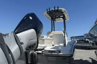 Thumbnail von Boston Whaler 250 Dauntless