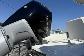 Thumbnail von Boston Whaler 250 Dauntless