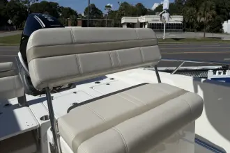 Thumbnail von Boston Whaler 250 Dauntless