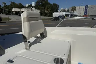 Thumbnail von Boston Whaler 250 Dauntless
