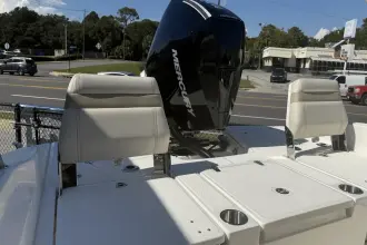 Thumbnail von Boston Whaler 250 Dauntless