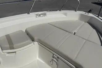 Thumbnail von Boston Whaler 250 Dauntless