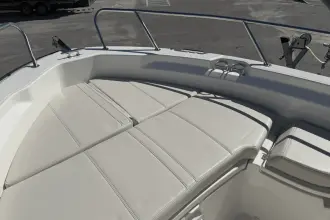 Thumbnail von Boston Whaler 250 Dauntless