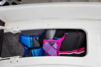 Thumbnail von Sea Ray SLX 310