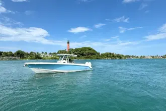 Thumbnail von Boston Whaler 330 Outrage