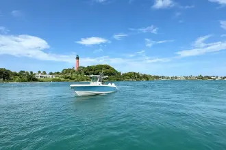 Thumbnail von Boston Whaler 330 Outrage