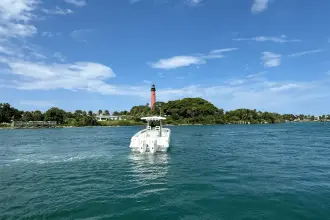 Thumbnail von Boston Whaler 330 Outrage